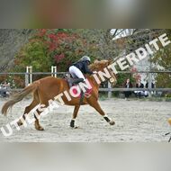 PR2_0882_Gramont