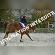 PR2_0883_Gramont