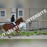PR2_0885_Gramont