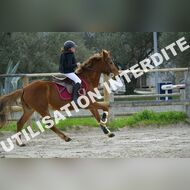 PR2_0887_Gramont