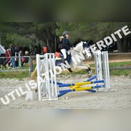 PR2_0942_Gramont