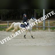 PR2_0943_Gramont