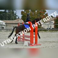 PR2_1013_Gramont