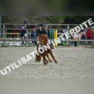 PR2_1025_Gramont