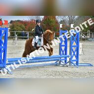 PR2_1034_Gramont
