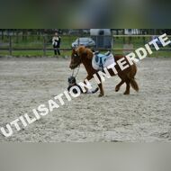 PR2_1035_Gramont