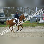PR2_1055_Gramont