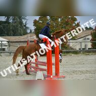 PR2_1067_Gramont