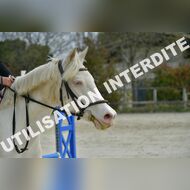 PR2_1071_Gramont