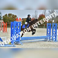 PR2_1110_Gramont