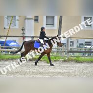 PR2_1114_Gramont