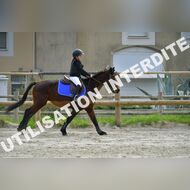 PR2_1115_Gramont