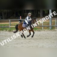 PR2_1121_Gramont