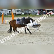 PR2_1134_Gramont