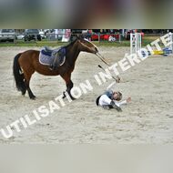 PR2_1136_Gramont