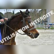 PR2_1139_Gramont