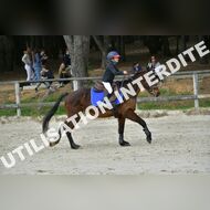 PR2_1141_Gramont