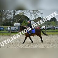 PR2_1145_Gramont