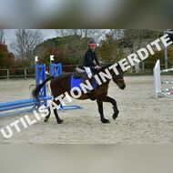 PR2_1149_Gramont