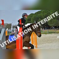 PR2_1151_Gramont