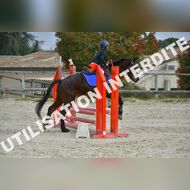 PR2_1153_Gramont