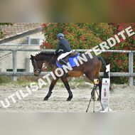 PR2_1154_Gramont