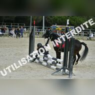 PR2_1161_Gramont