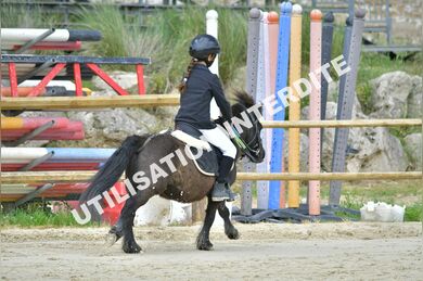 PONEY A2 A1 ET A ELITE