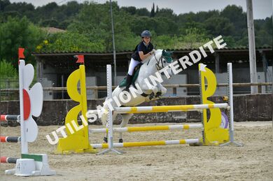 PONEY ELITE CLUB ELITE AS2